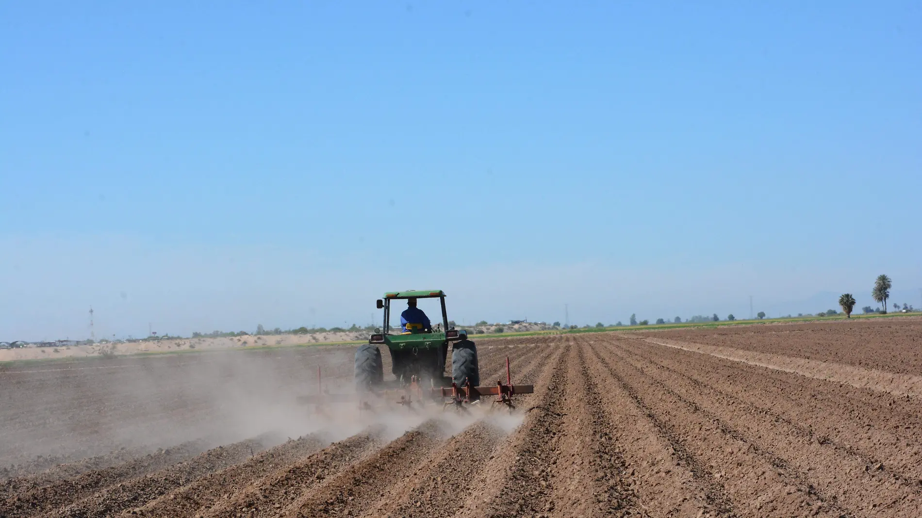 cuántos agricultores no han finalizado su cosecha, con desvare y barbecho. VF (3)